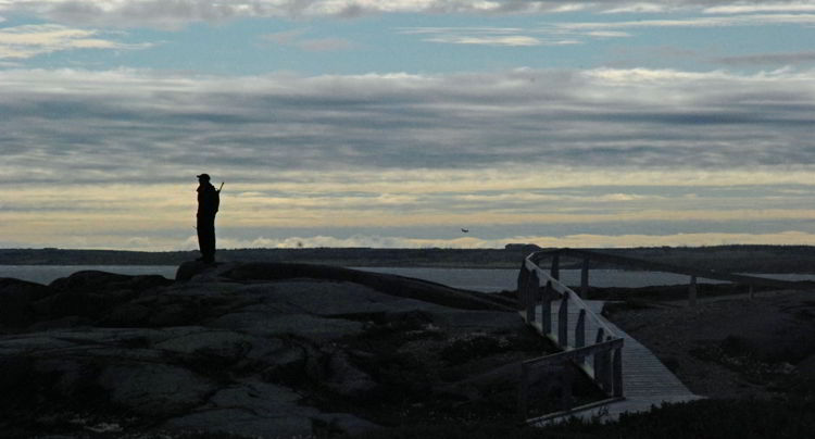 An image of a polar bear guard at the Prince of Wales Fort near Churchill, Manitoba, Canada. 