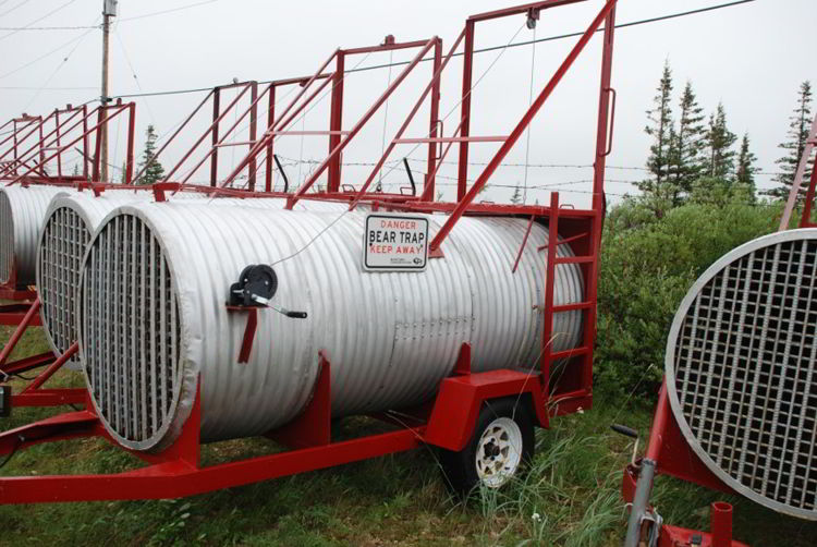 An image of a bear trap near Churchill, Manitoba, Canada. 