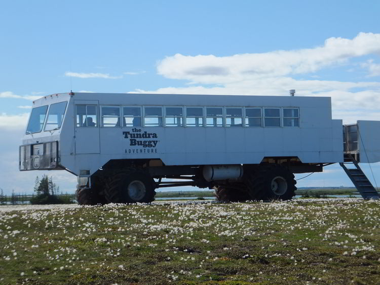 An image of a tundra buggy used for polar bear watching in Churchill, Manitoba, Canada. 