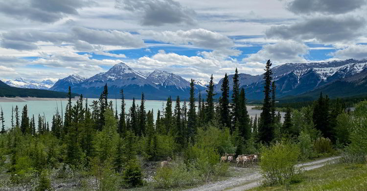 An image of Abraham Lake in Alberta, Canada. Alberta road trips. 