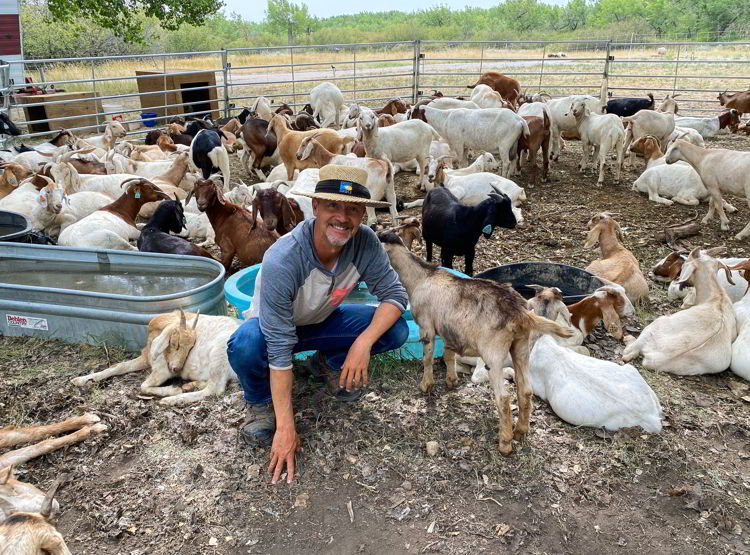 n image of a goat herder in Medicine Hat, Alberta, Canada.  