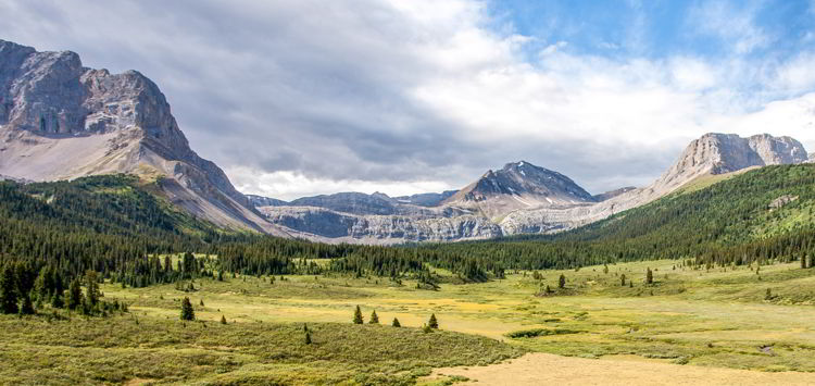 An image of Willmore Wilderness Area. 
