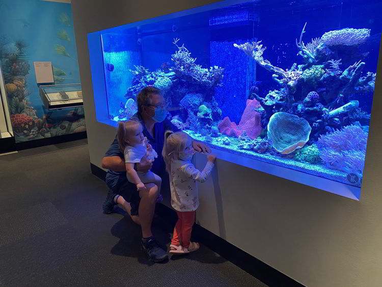 An image of an aquarium at the Royal Alberta Museum. 