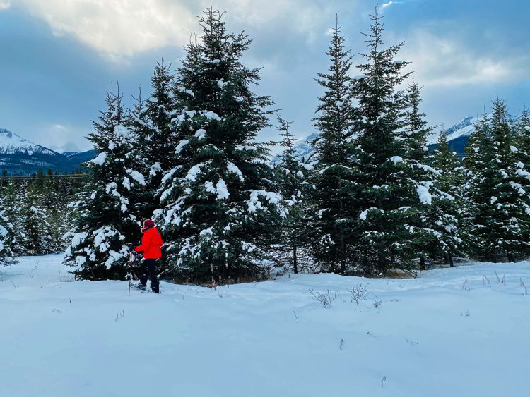 An image of a woman snowshoeing in the Canadian Rockies - snowshoe Canmore winter hikes 