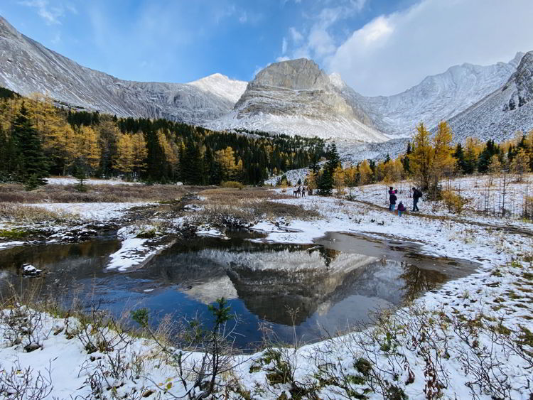 An image of Arethusa Cirque during larch season - best easy hikes in Kananaskis, Alberta, Canada. 