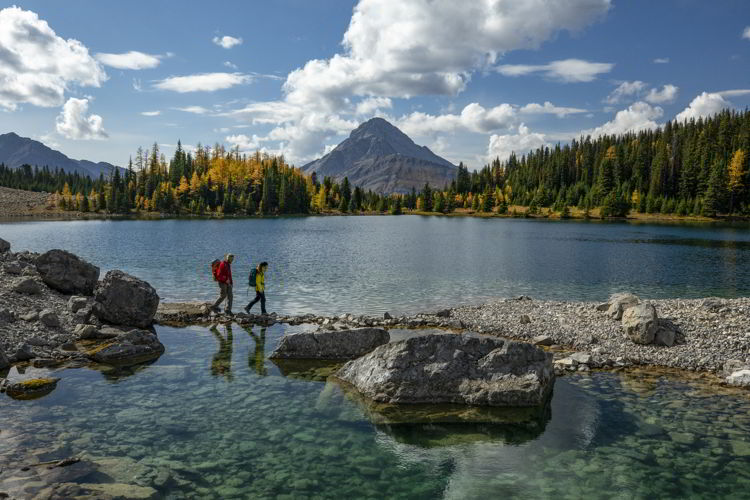 An image of Chester Lake during larch season. Photo credit Travel Alberta/Paul Zizka. 