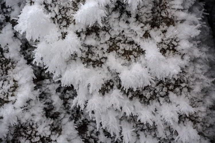 AN IMAGE OF ICE CRYSTALS.