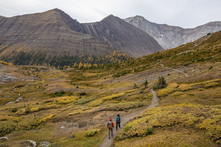 An image of the Ptarmigan Cirque hike. Photo credit: Travel Alberta/Paul Zizka. 