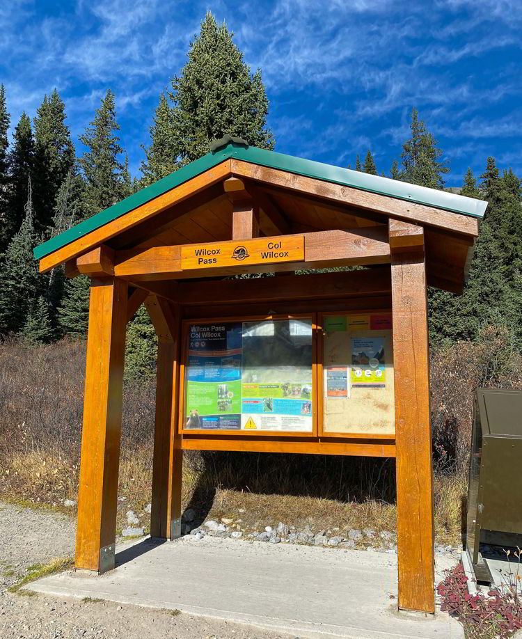 An image of the trailhead for the Wilcox Pass hike on the Icefields Parkway in Jasper National Park in Alberta, Canada. 
