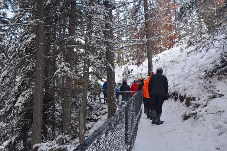 An image of a group of people walking on the trail in Maligne Canyon in winter - Jasper icewalk. 