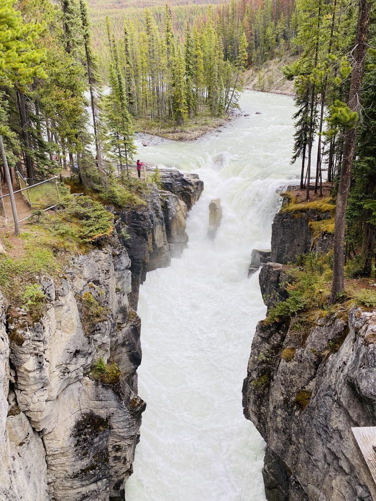 An image of the Upper Sunwapta Falls in Jasper National Park in Alberta, Canada - Banff to Jasper drive on the Icefields Parkway. 