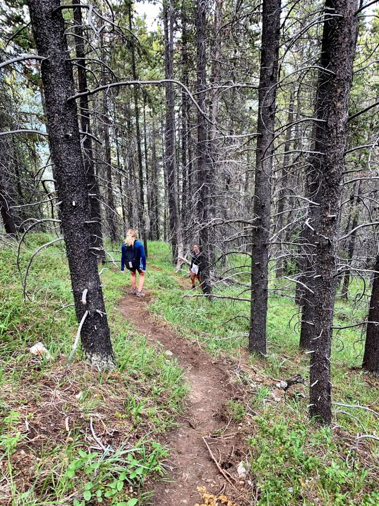 An image of a woman hiking through the woods in Kananaskis, Alberta, Canada. 