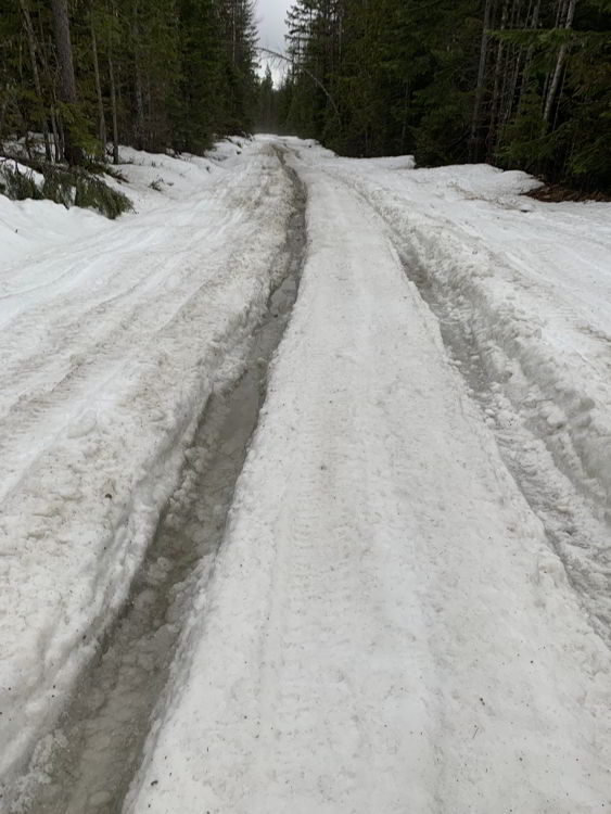 An image of the road leading to Halfway Hot Springs in early spring.