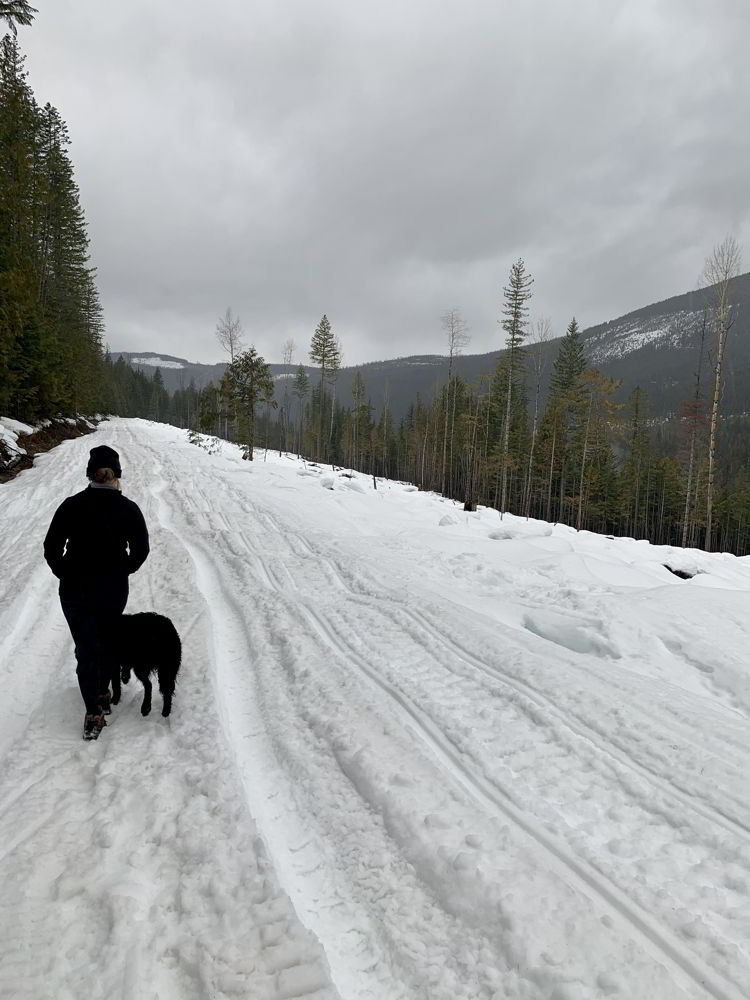 An image of a woman hiking through snow to get to Halfway Hot Springs in B.C., Canada. 