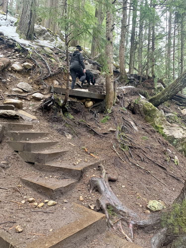 An image of stairs on the trail that leads to Halfway Hot Springs in British Columbia, Canada. 