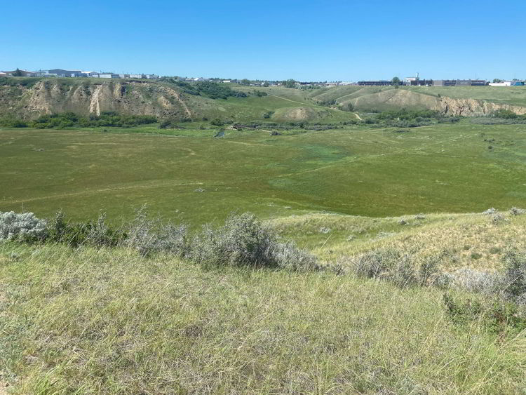 An image of the coulee archaeological site behind the Saamis Tepee in Medicine Hat, Alberta, Canada. 