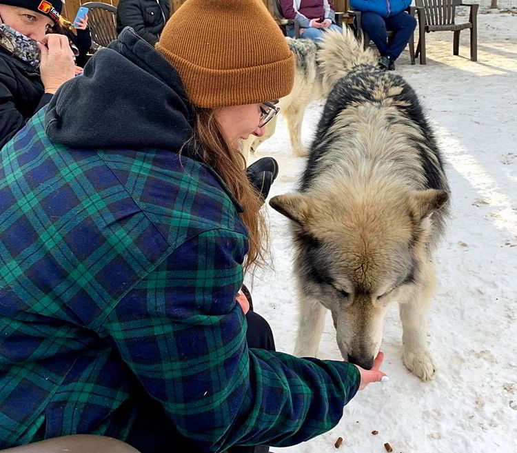 An image of a woman feeding a wolfdog at Yamnuska Wolfdog Sanctuary near Calgary Alberta.