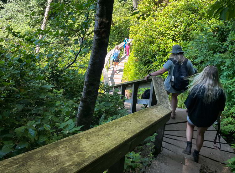 An image of a group of hikers hiking to Mystic Beach, Vancouver Island in British Columbia, Canada.