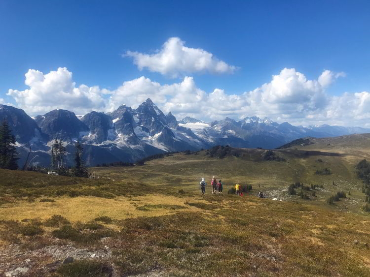 An image of an alpine meadow in the Purcell Mountains in British Columbia, Canada. 