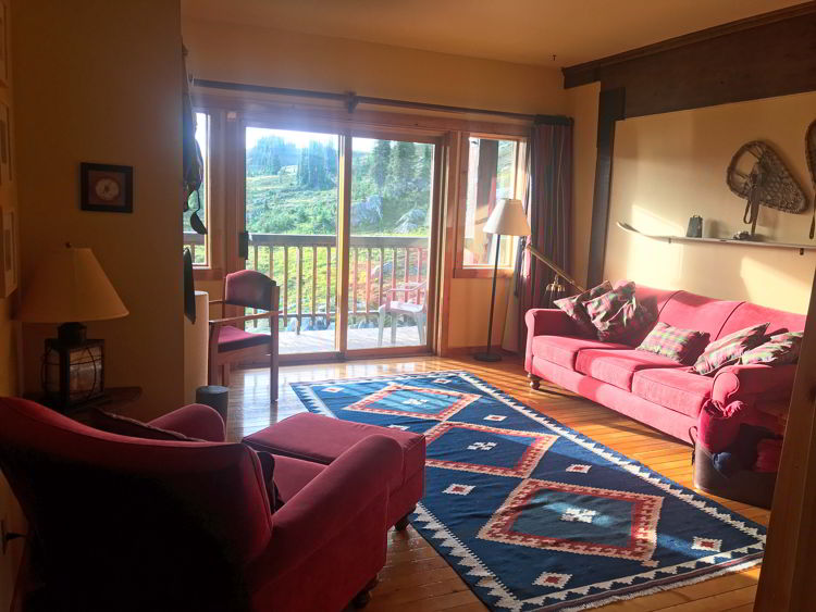 An image of the library in the Purcell Mountain Lodge in British Columbia, Canada.