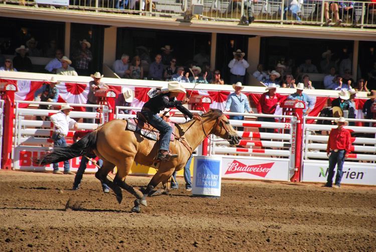 Image of barrel racing at the Calgary Stampede rodeo Image of barrel racing at the Calgary Stampede rodeo