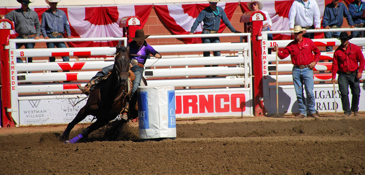 Image of barrel racing at the Calgary Stampede rodeo Image of barrel racing at the Calgary Stampede rodeo