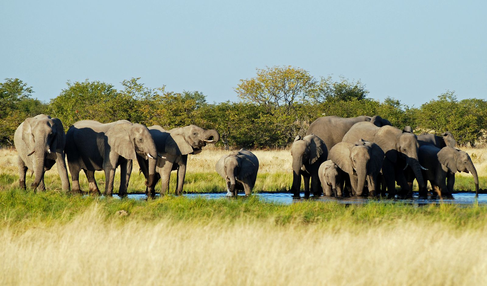 There is something incredibly intrepid about the notion of driving yourself across Africa watching an ever-changing landscape filled with elephants, giraffes, lions and other wildlife roll past your window.