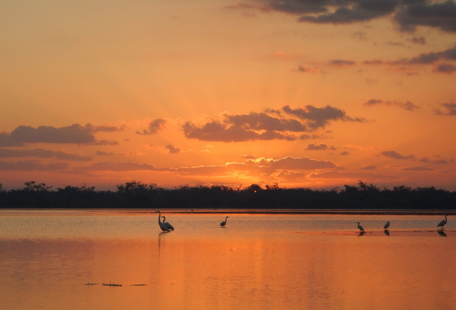 An image of an orange sunrise over the bird-filled lagoon at Crooked Tree Wildlife Sanctuary in Belize