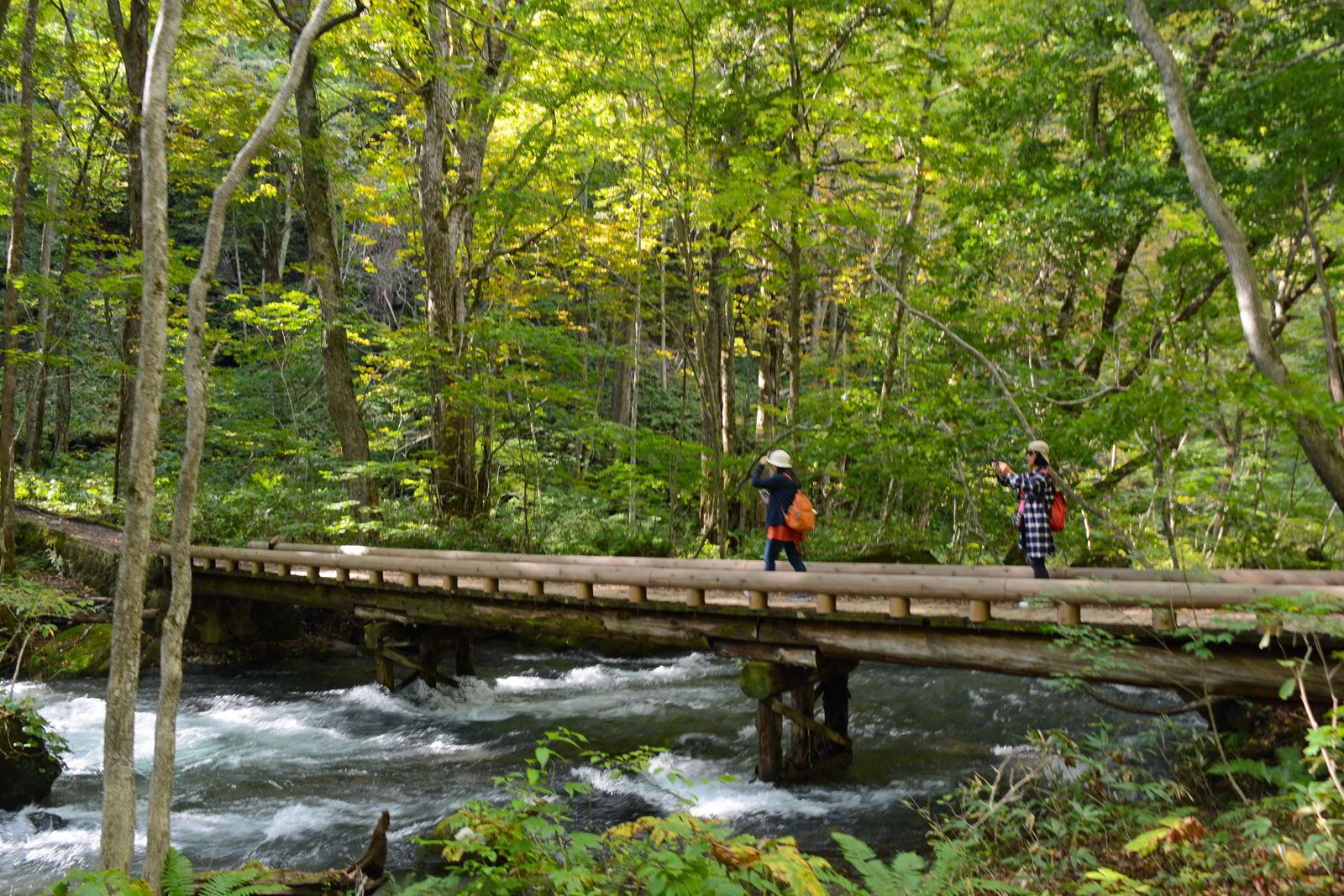 An image of a two people standing on a bridge over Oirade Stream - Lake Tawada and Oirase Gorge