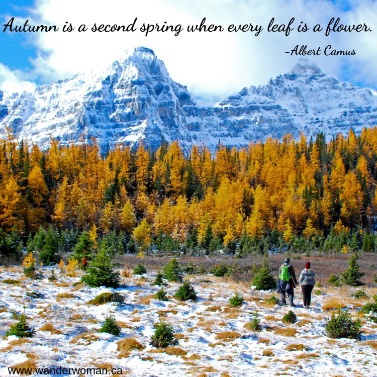 An image of two people looking at the scenery in the Larch Valley in autumn in Banff national Park Canada - meaningful quotes about nature - Autumn is a second spring when every leaf is a flower - Albert Camus An image of two people looking at the scenery in the Larch Valley in autumn in Banff national Park Canada - meaningful quotes about nature - Autumn is a second spring when every leaf is a flower - Albert Camus