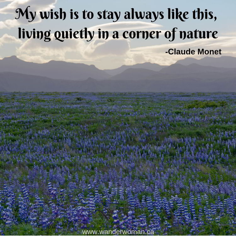 An image of a field of wild lupines in Iceland. Meaningful quotes about nature - My wish is to always stay like this, living quietly in a corner of nature. Claude Monet An image of a field of wild lupines in Iceland. Meaningful quotes about nature - My wish is to always stay like this, living quietly in a corner of nature. Claude Monet