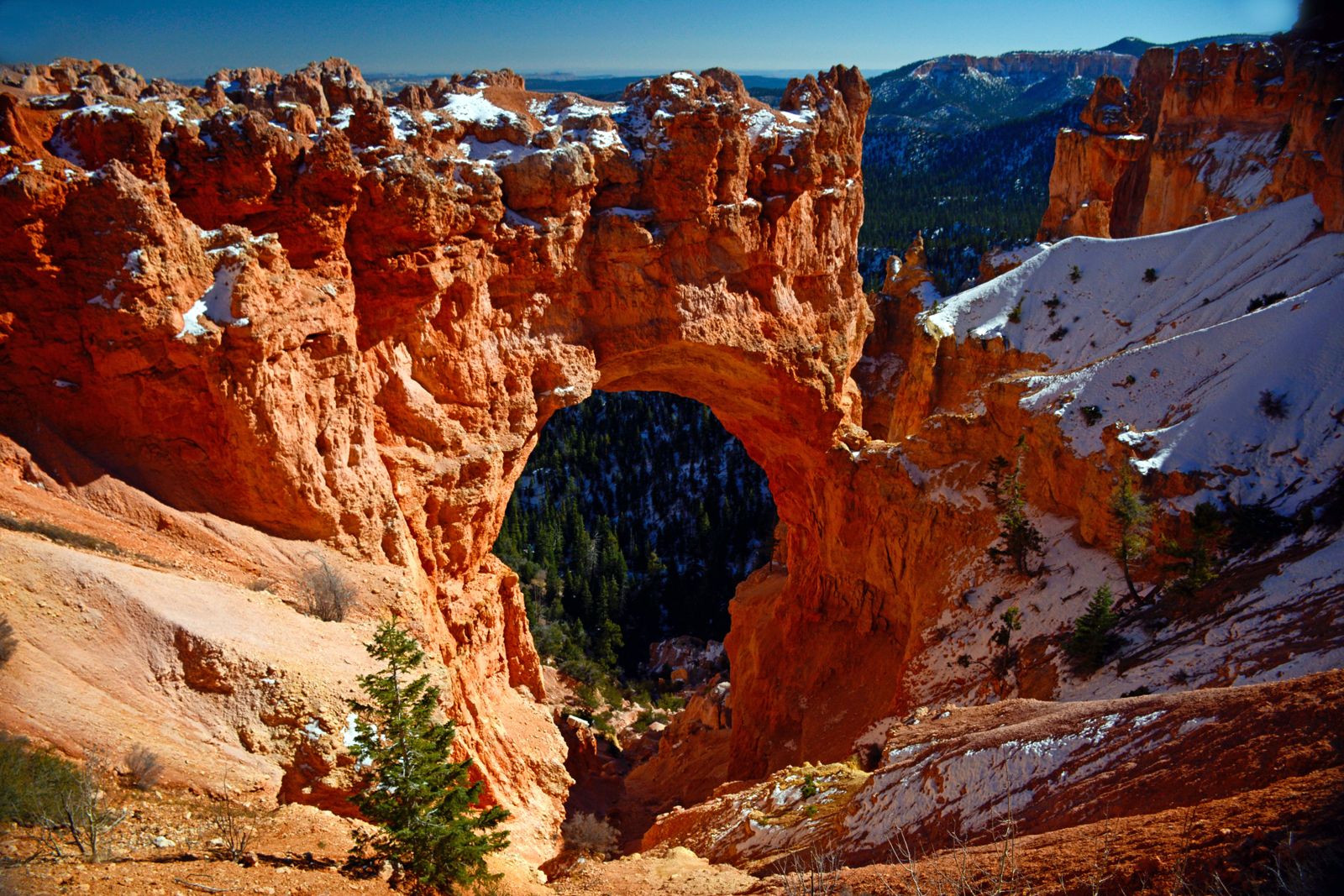 An image of a natural bridge rock formation in Bryce Canyon National Park - best hikes in Bryce Canyon