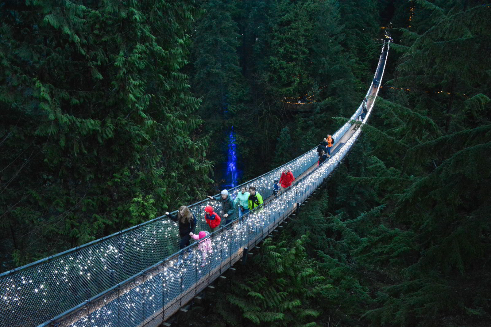 An image of the Capliano Bridge with lights on it. Vancouver Christmas Lights.