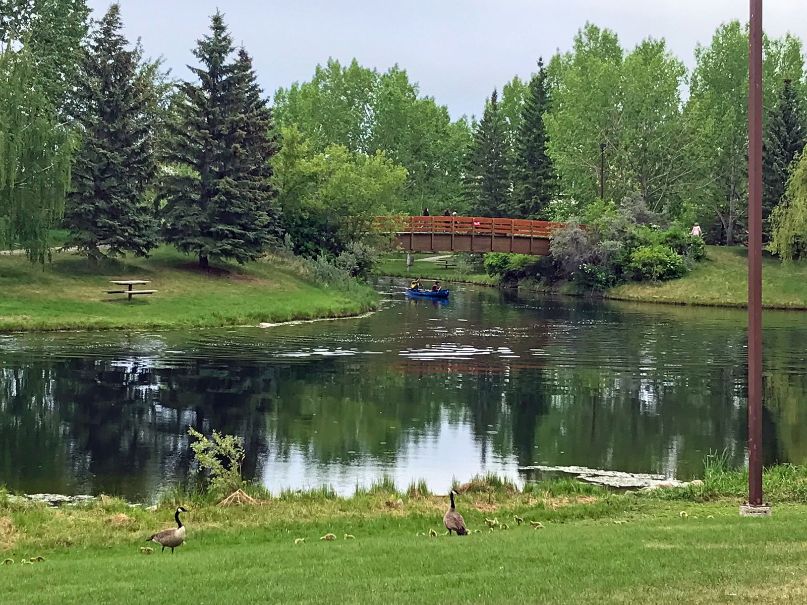 An image of Bower Ponds in Red Deer, Alberta, Canada.