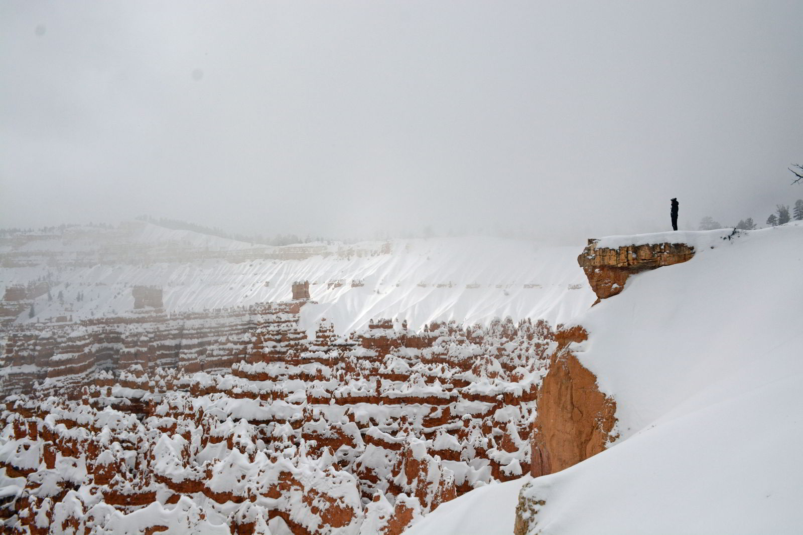 The view at Sunrise Point in Bryce Canyon national Park in Utah in winter- Bryce Canyon in winter