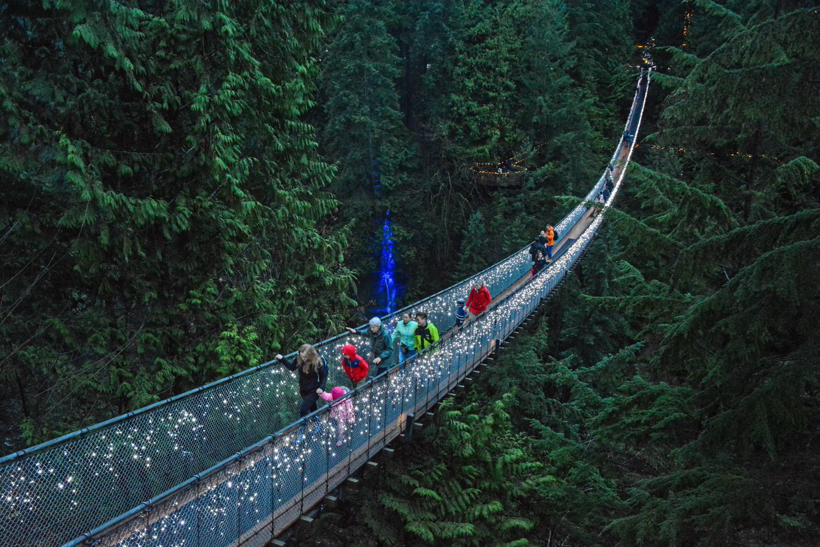 An image of the Capilano Bridge lit up for the Canyon Lights winter festival in Vancouver, BC, Canada.