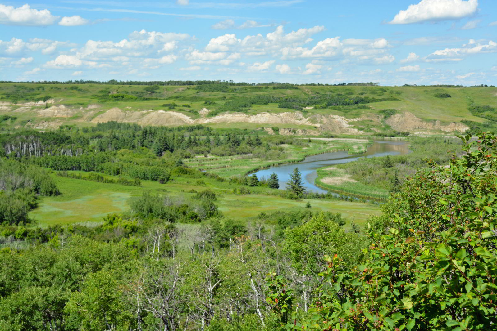 An image of the Battle River Valley in Big Knife Provincial Park in Alberta, Canada.