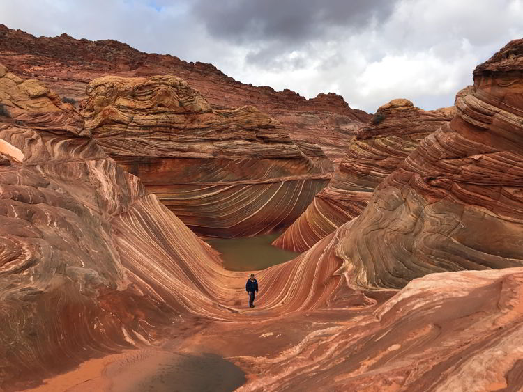 An image of a man standing in The Wave in Arizona, USA