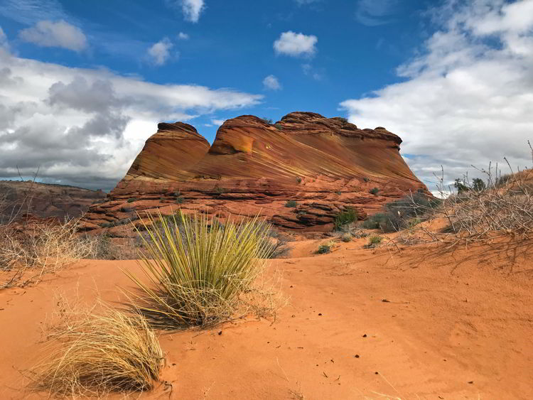 An image of beautiful rock formations in Coyote Buttes North Wilderness Area, Utah, USA. 