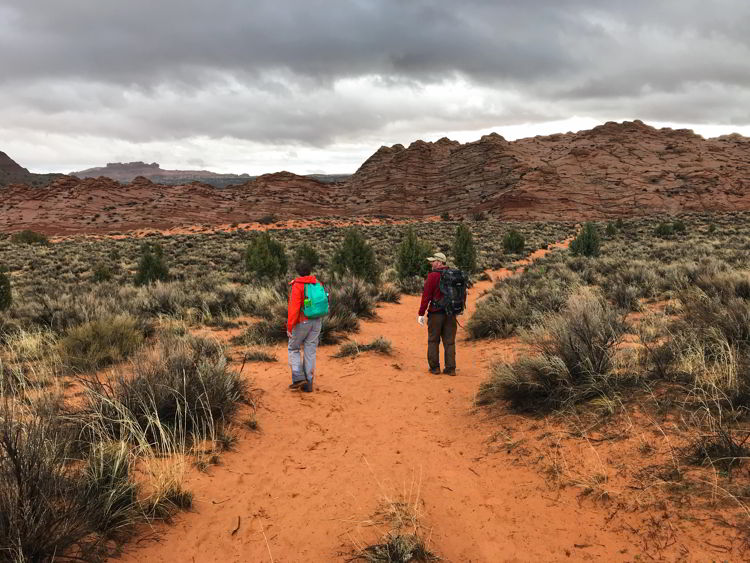 An image of a man and a woman hiking in Coyote Buttes North Wilderness area in Utah, USA. 