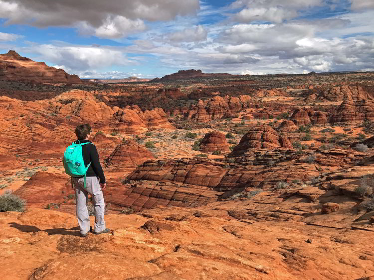 An image of a woman looking at the terrain in the Coyote Buttes North Wilderness Area in Utah, USA. 