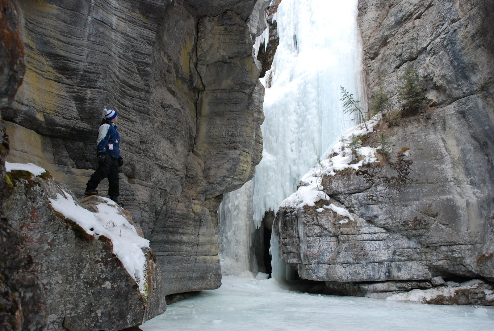 An image of a frozen waterfall inside Maligne Canyon in Jasper National Park in Alberta, Canada.
