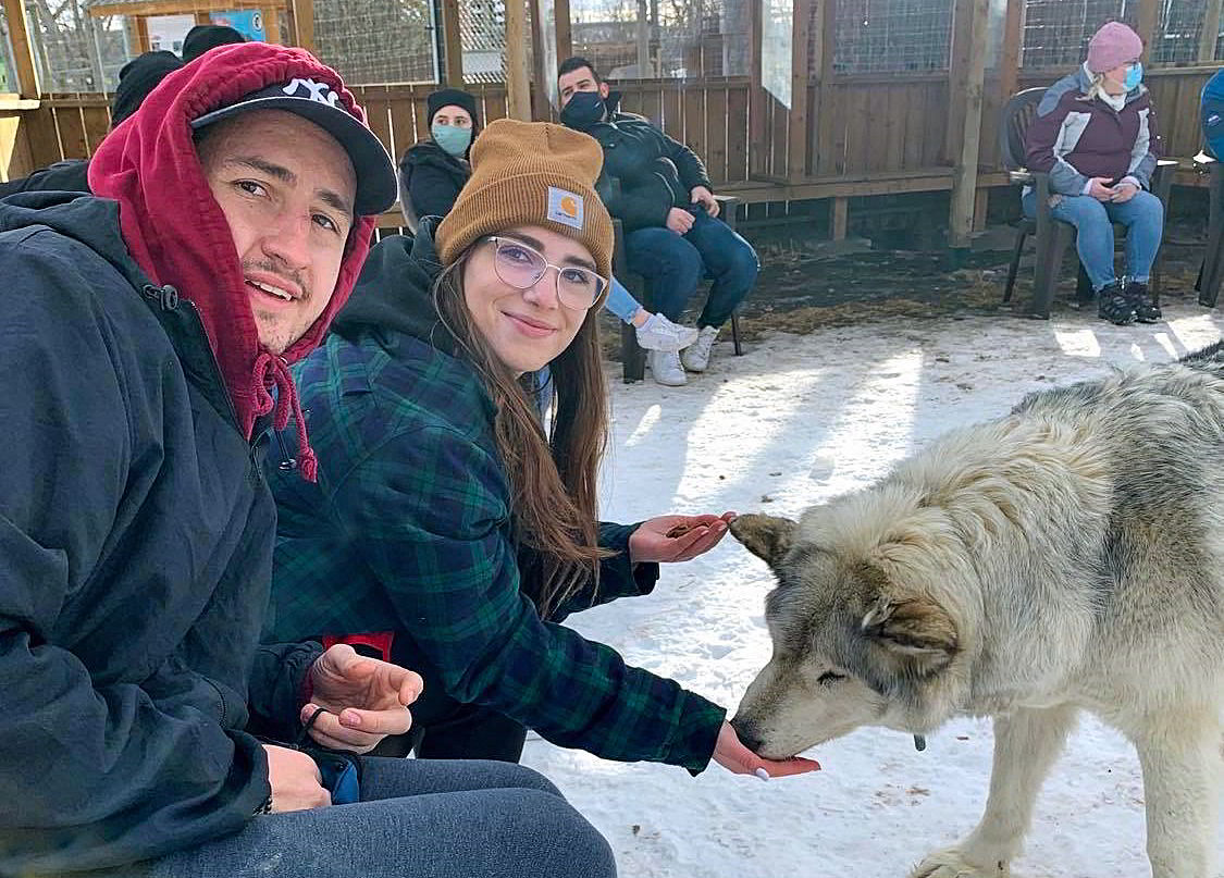 An image of two people feeding a wolfdog at Yamnuska Wolfdog Sanctuary near Calgary, Alberta.