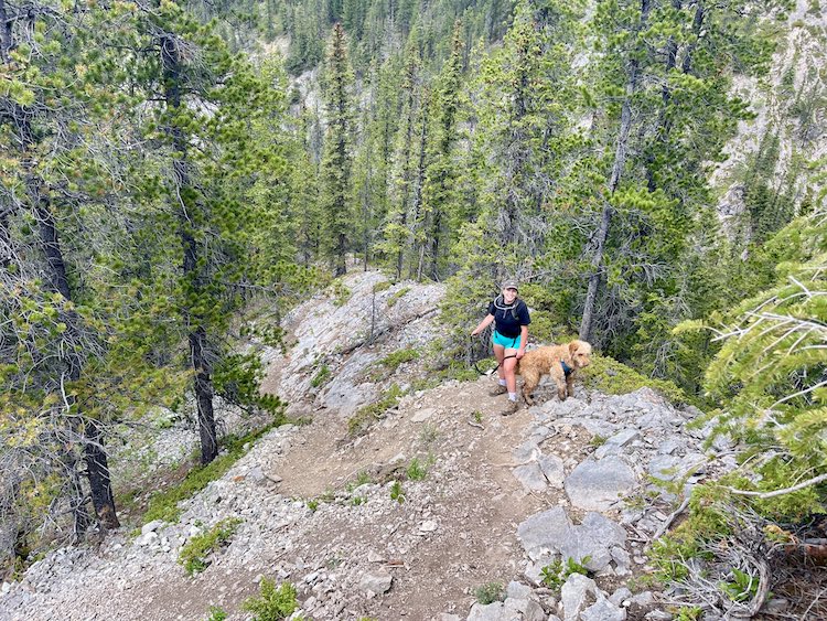 A girl and a dog on a trail.