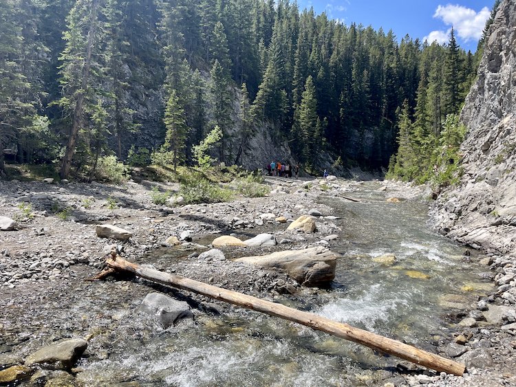 Porcupine Creek in Kananaskis.