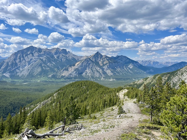 The view from the summit of Porcupine Ridge in Kananaskis.