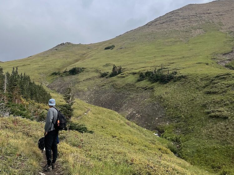 A man standing on a hiking trail