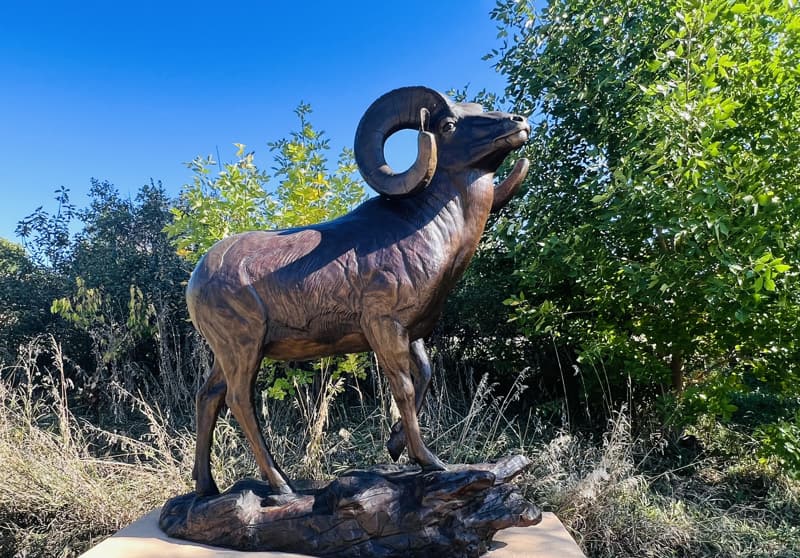 An image of Mountain Royalty by James Marsico is a life-sized bighorn sheep sculpture in bronze. 