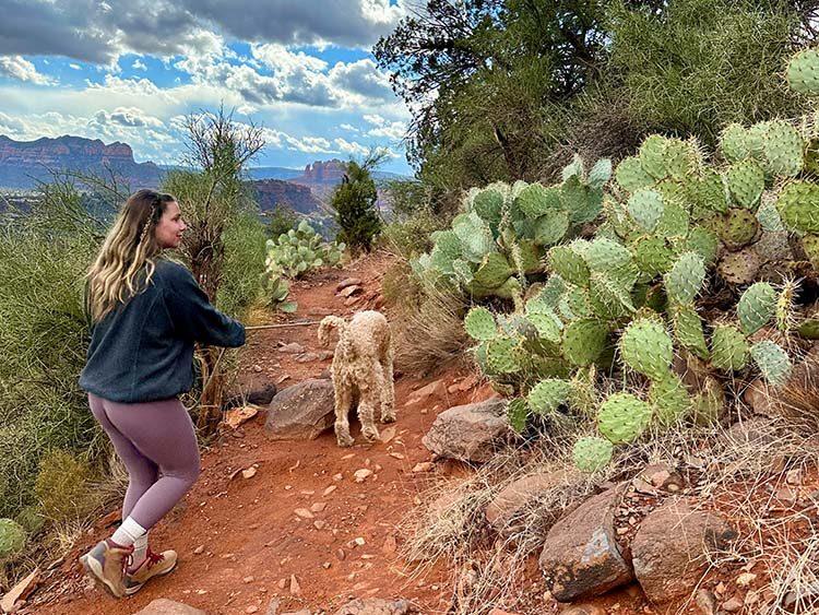 a girl and a dog hiking through cacti in sedona, arizona.