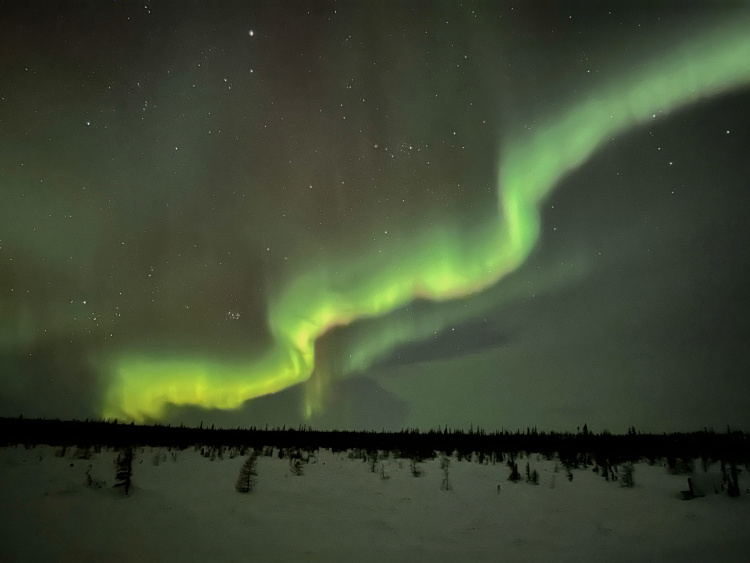 Manitoba northern lights